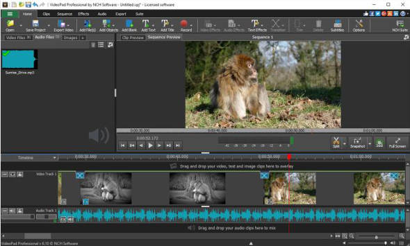 Videopad Free Video Editing Software