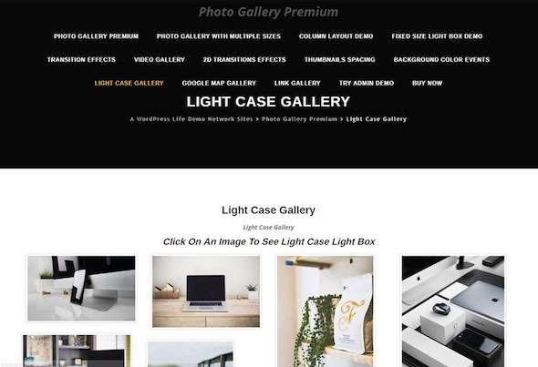 Elementor's Best WordPress Themes