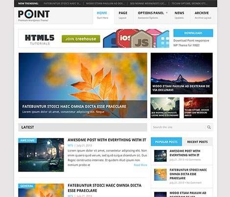 responsive free wordpress point theme