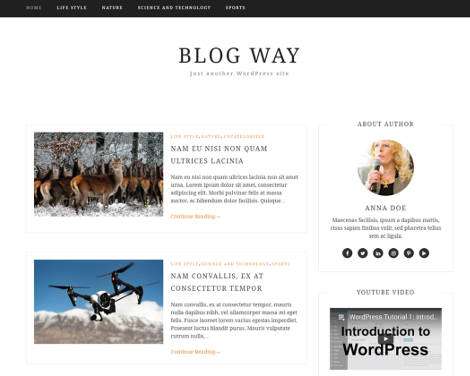 Way Responsive Free Blog WordPress Theme