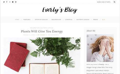 Everly Free WordPress Theme