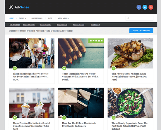 theme-wordpress-ad-sense