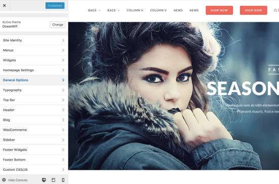 OceanWP Themes Customize