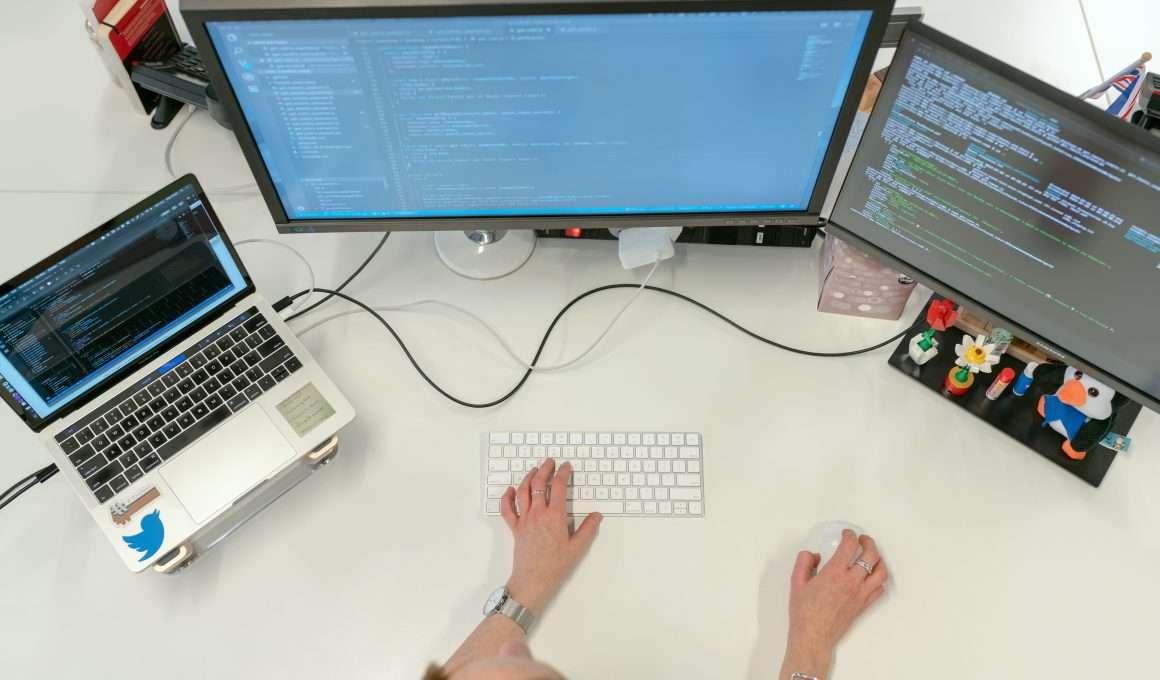 How to Become a Master Software Developer in Five Essential Steps