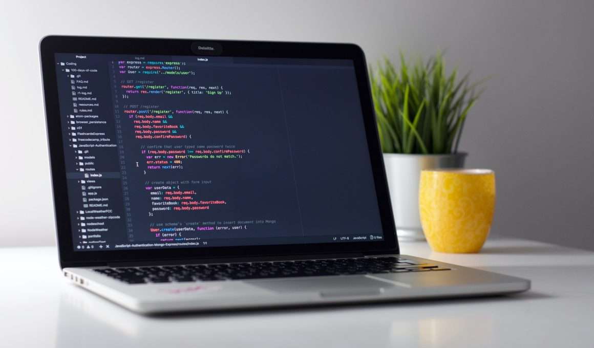 Website development